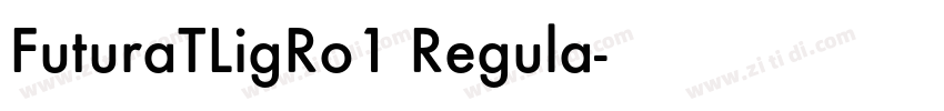 FuturaTLigRo1 Regula字体转换